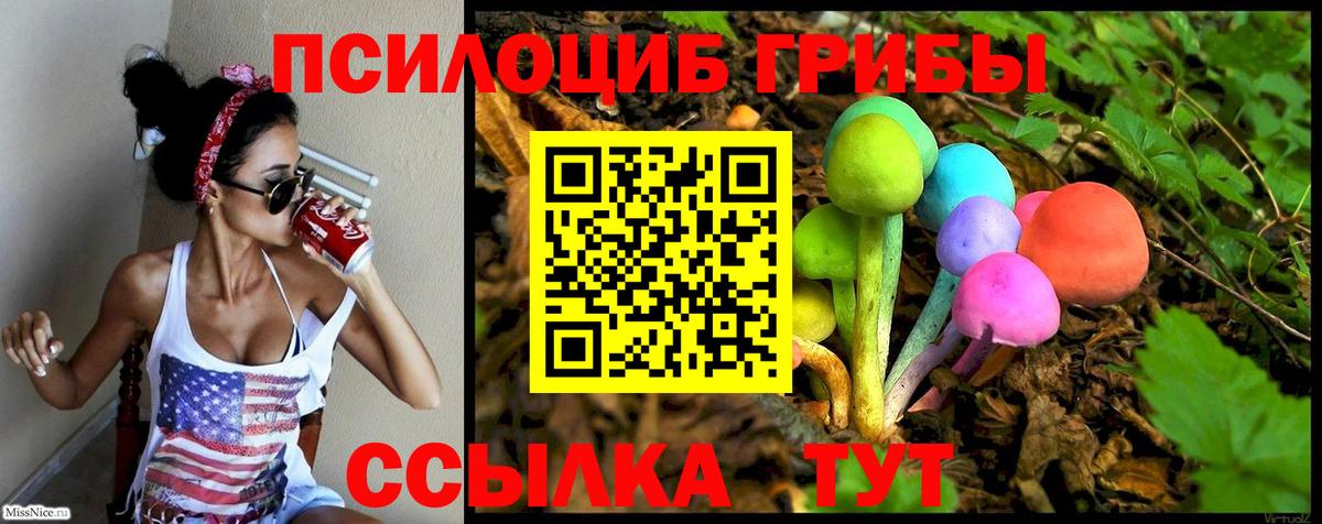 как найти   Псилоцибиновые грибы мицелий  Вход с VPN  Златоуст 